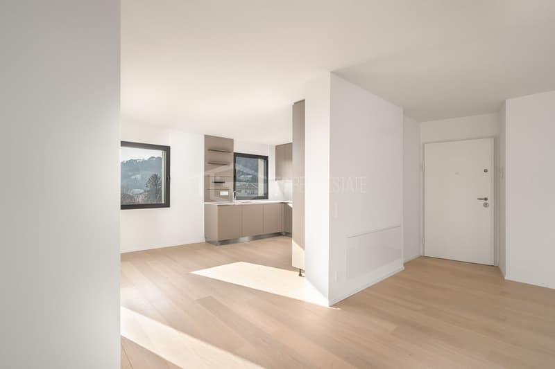 MODERNES 4,5-ZIMMER-PENTHOUSE MIT SEEBLICK (2)