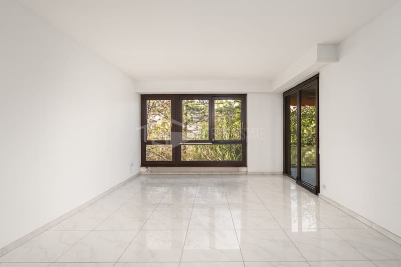 ACCOGLIENTE 3.5 LOCALI A LUGANO - LORETO (2)