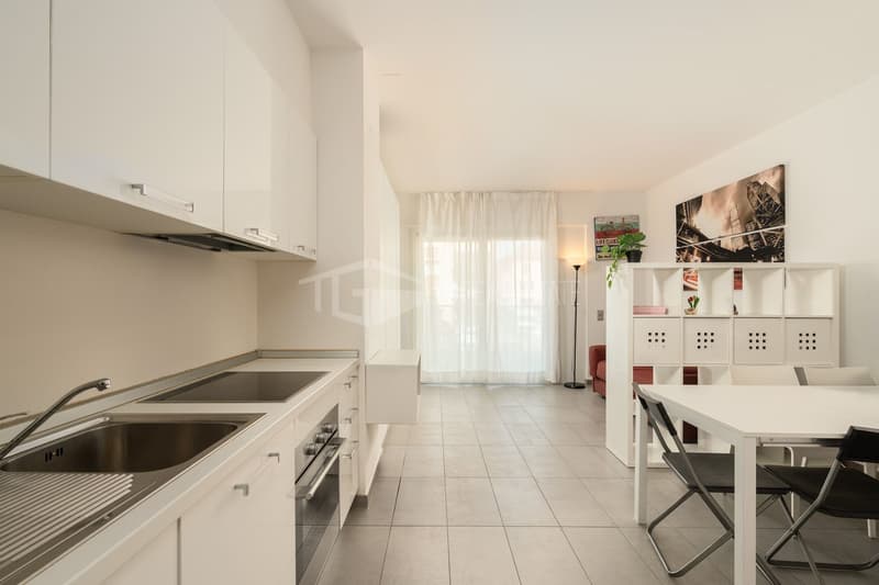MONOLOCALE AMMOBILIATO A CASSARATE (7)