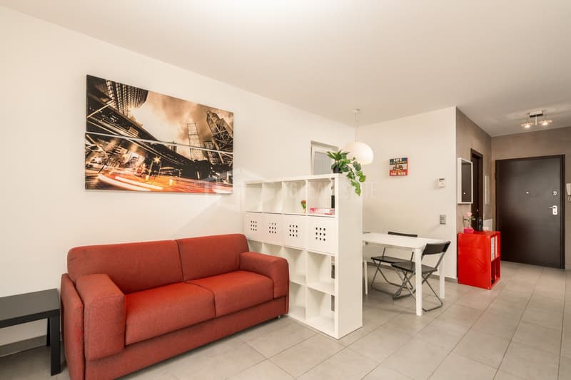 MONOLOCALE AMMOBILIATO A CASSARATE (4)