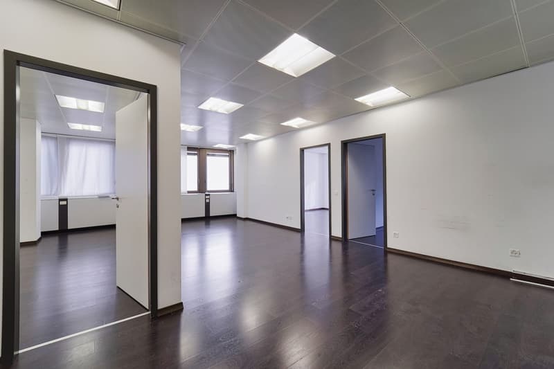 BÜRO IM FINANZIELLEN HERZEN DES PARADIESES (5)