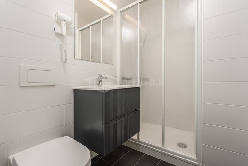 ELEGANTE 2.5 LOCALI NEL CUORE DI LUGANO (9)