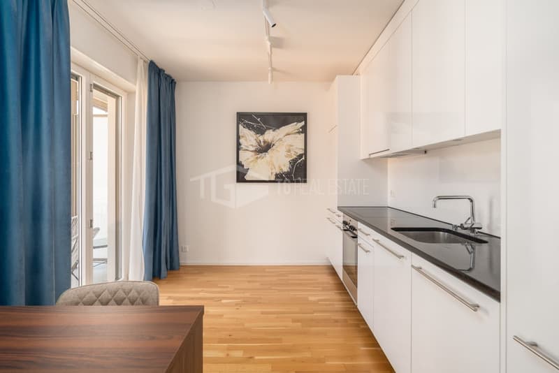 ELEGANTE 2.5 LOCALI NEL CUORE DI LUGANO (7)