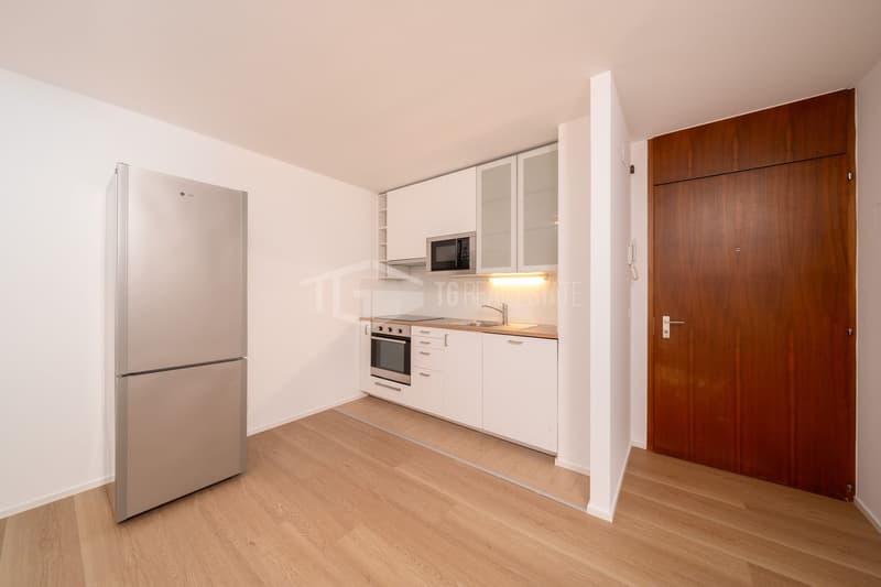 DUPLEX CON GIARDINO IN CENTOR LUGANO (6)
