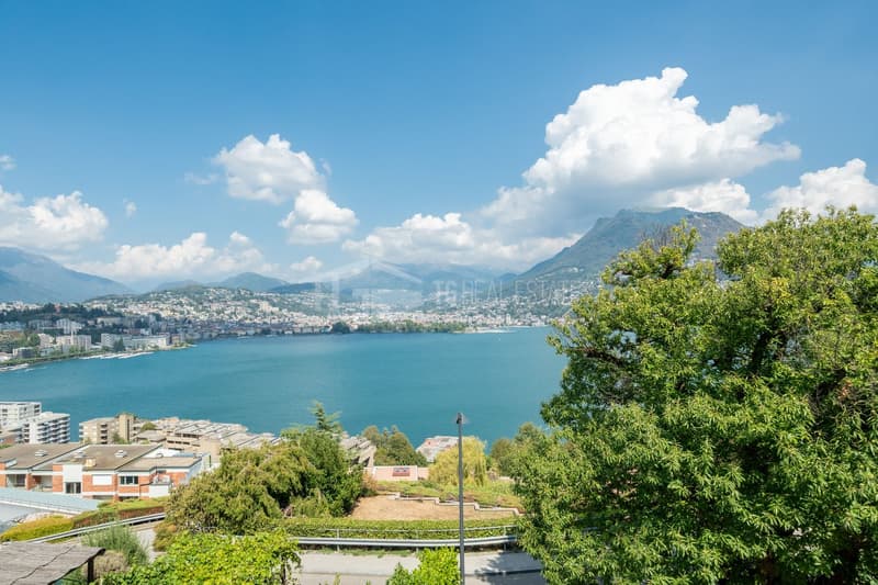 APPARTAMENTO DI 3.5 AMMOBILIATO CON VISTA LAGO (1)