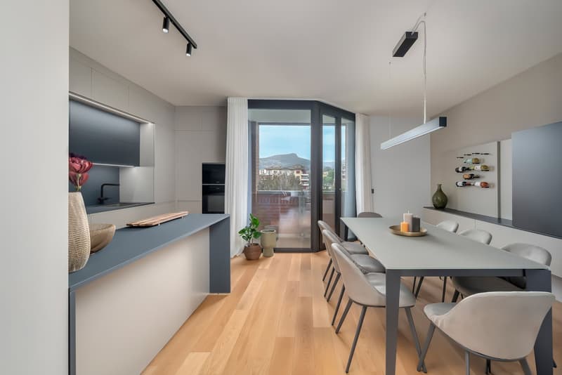 NEUES DUPLEX PENTHOUSE IN LUGANO (12)