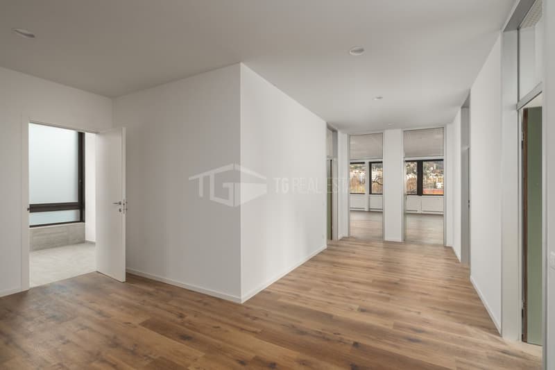 MODERNES 7-ZIMMER-BÜRO IN MOLINO NUOVO (11)