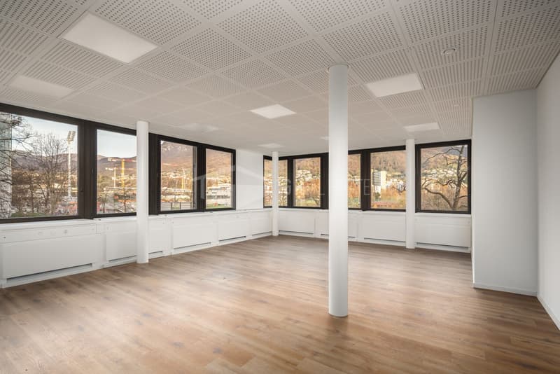 MODERNES 7-ZIMMER-BÜRO IN MOLINO NUOVO (6)
