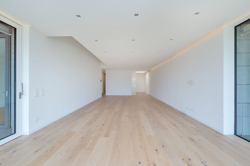 LUXURIÖSES 4,5-ZIMMER-PENTHOUSE (6)