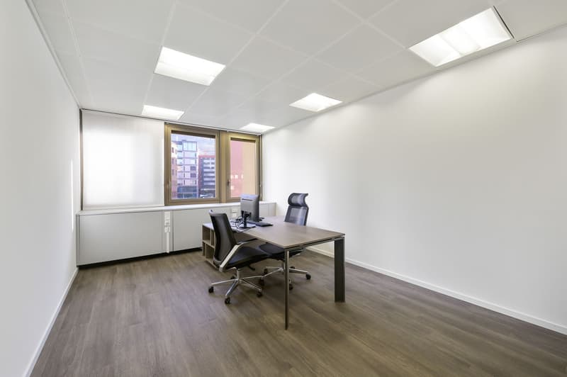 GROSSES BÜRO IM PARADIES (5)