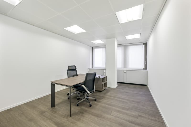 GROSSES BÜRO IM PARADIES (4)