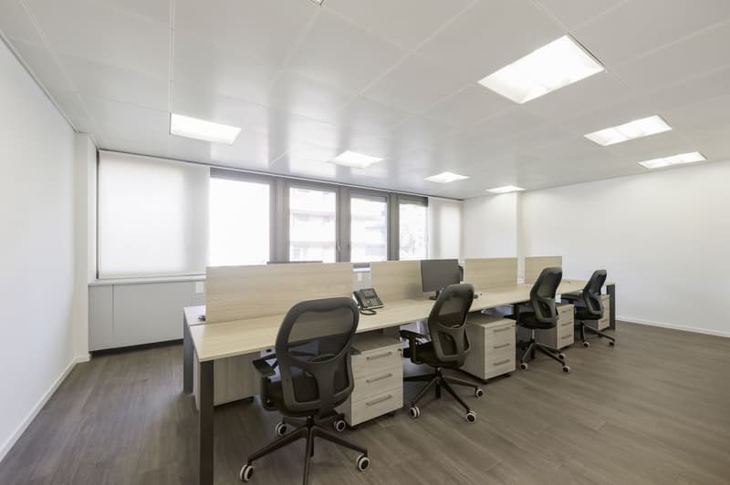 GROSSES BÜRO IM PARADIES (2)