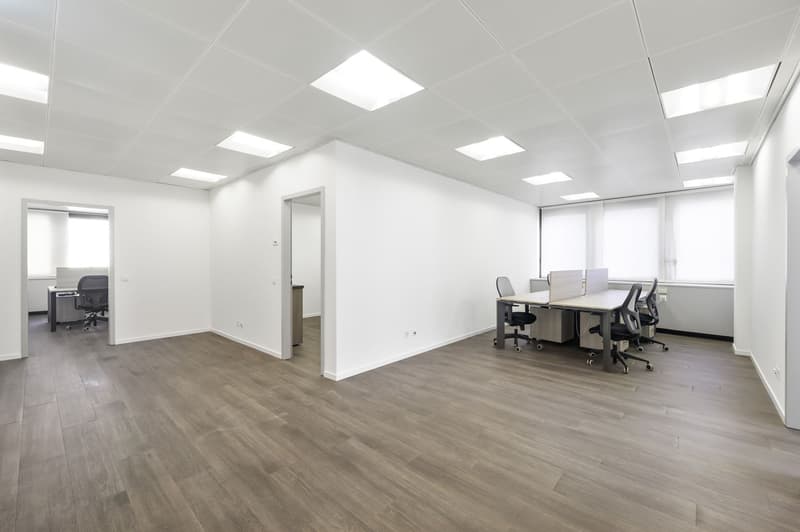 GROSSES BÜRO IM PARADIES (1)