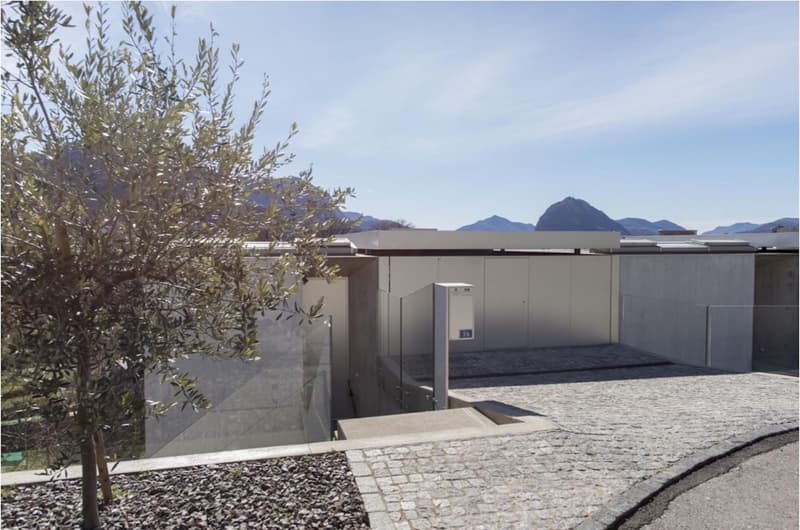 GERÄUMIGE DUPLEXWOHNUNG MIT BLICK AUF GARTEN UND GRÜN (1)