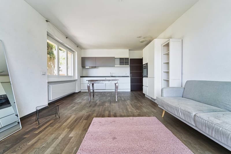 GEMÜTLICHE WOHNUNG IN CASTAGNOLA MIT SCHÖNEM SEEBLICK (3)