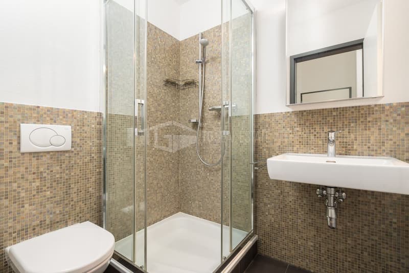 4,5-ZIMMER-DACHGESCHOSS-PENTHOUSE. IDEAL FÜR FAMILIEN (10)