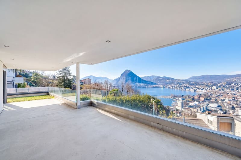Neue geräumige 4.5-Wohnung mit Seeblick und Garten (1)