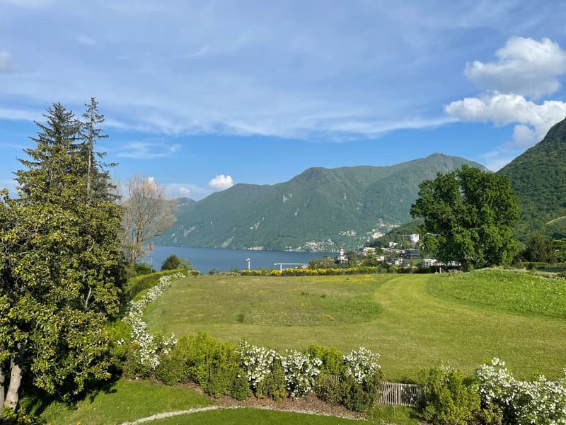 ELEGANTE ATTICO CON VISTA LAGO (1)