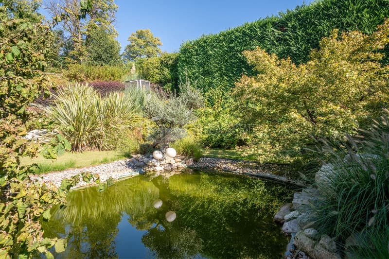 LUSSUOSA VILLA CON PISCINA E GIARDINO VICINO ALLA TASIS (32)