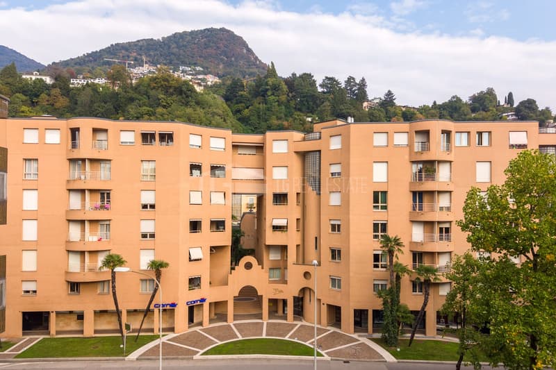INCANTEVOLE 3.5 COMPLETAMENTE RINNOVATO A CASSARATE (1)