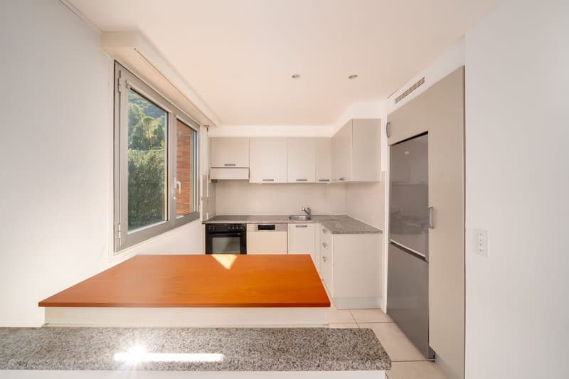 HELLES 3,5-ZIMMER-APARTMENT MIT BLICK AUF DEN SEE IN PARADISO (5)