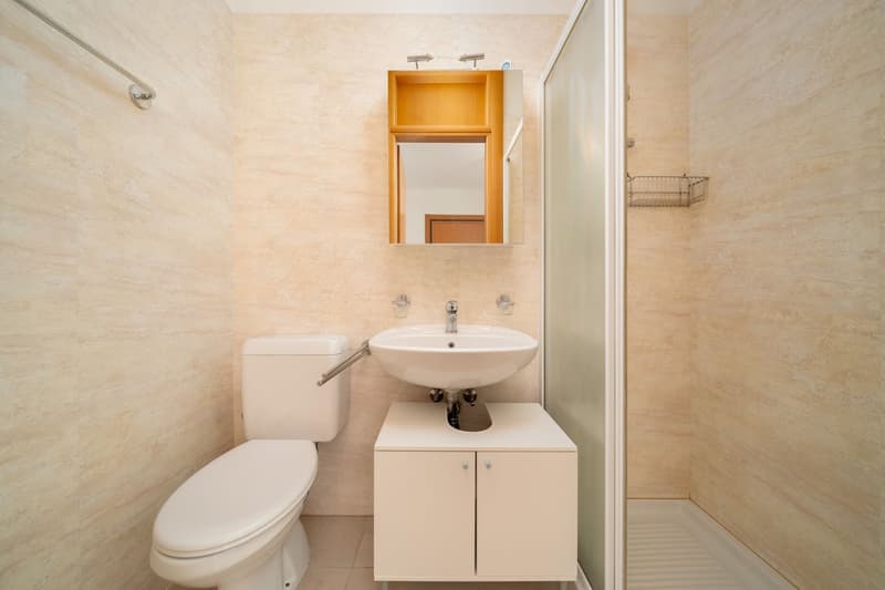 HELLES 3,5-ZIMMER-APARTMENT MIT BLICK AUF DEN SEE IN PARADISO (9)