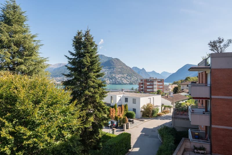 HELLES 3,5-ZIMMER-APARTMENT MIT BLICK AUF DEN SEE IN PARADISO (13)