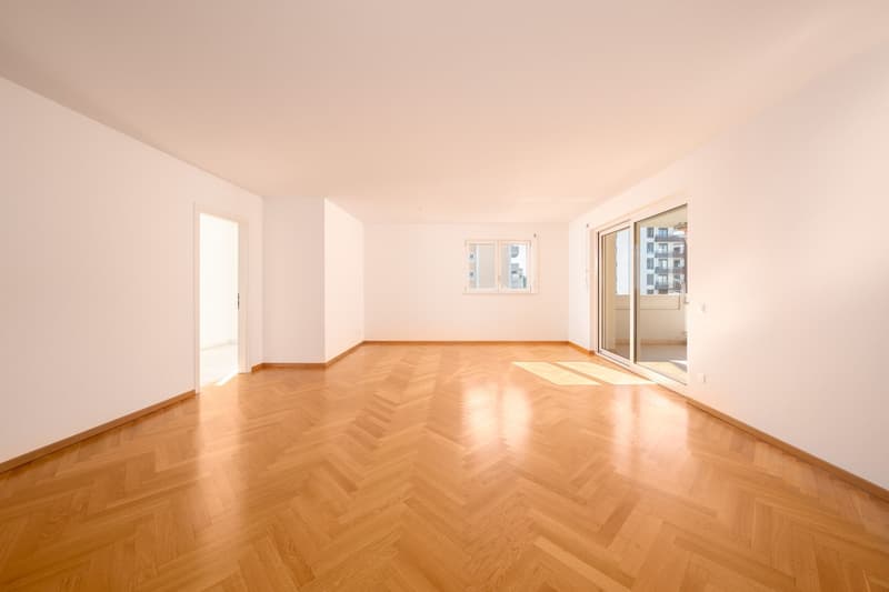 Geräumige 5.5-Zimmer-Wohnung (3)
