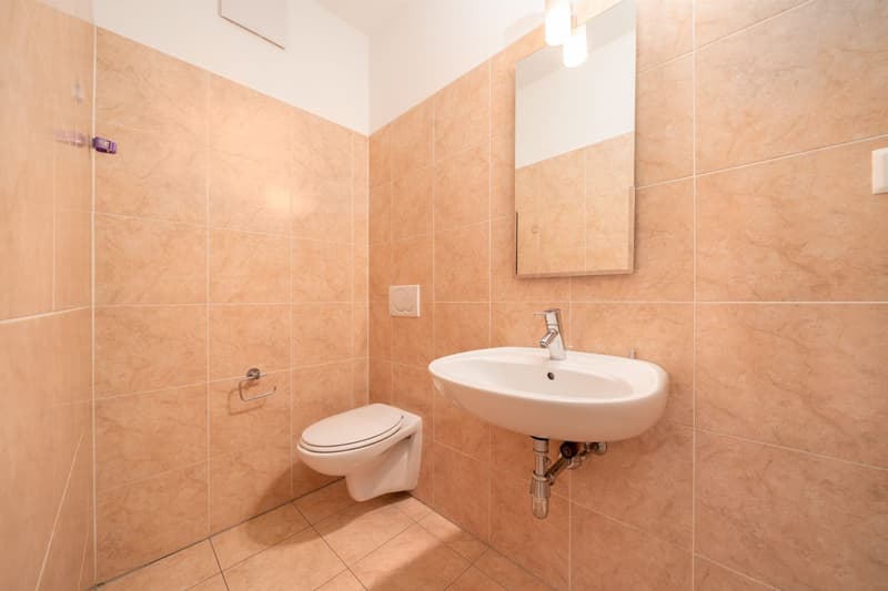 Geräumige 5.5-Zimmer-Wohnung (13)