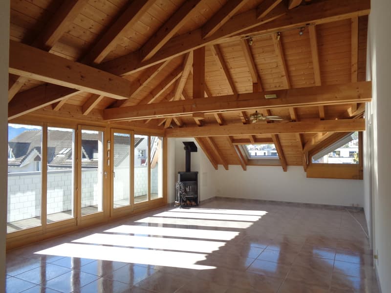 timber ceiling, fireplace, ceiling fan, double doors, windows, terrace