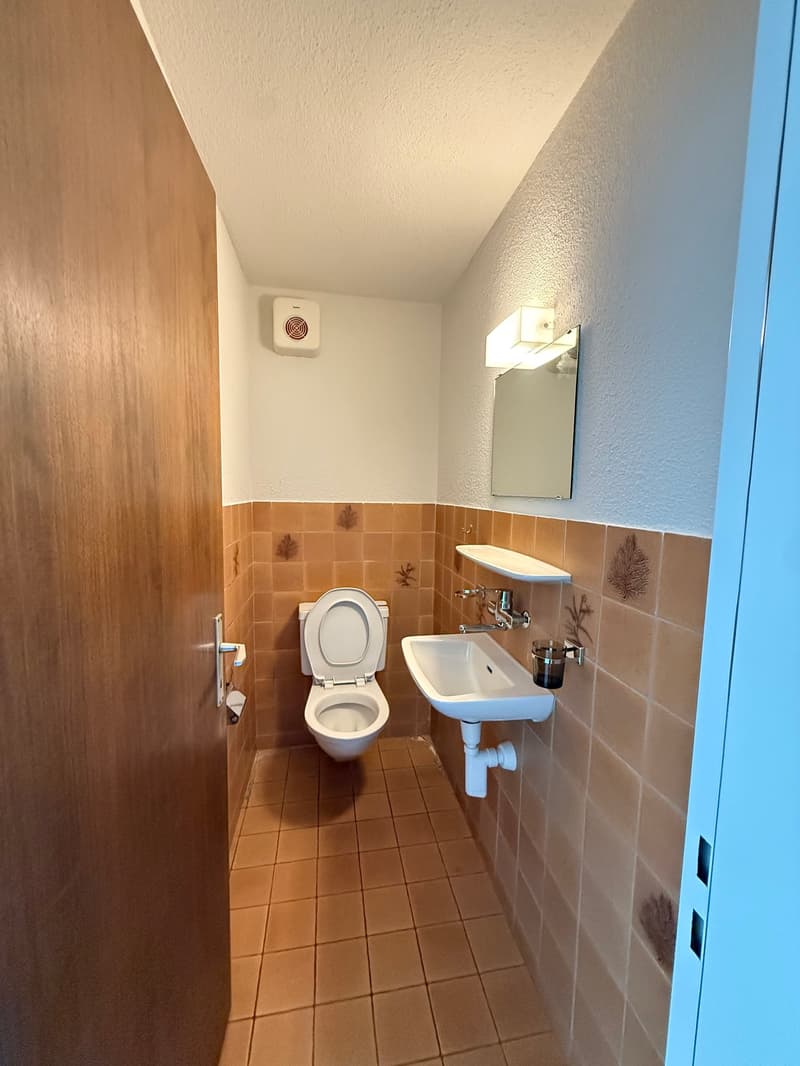 Charming 4.5-room maisonette apartment with garden in Freienbach (7)