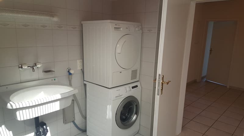 Grosszügige 4.5-Zimmer-Dachwohnung mit viel Charme im Herzen von Lachen (8)