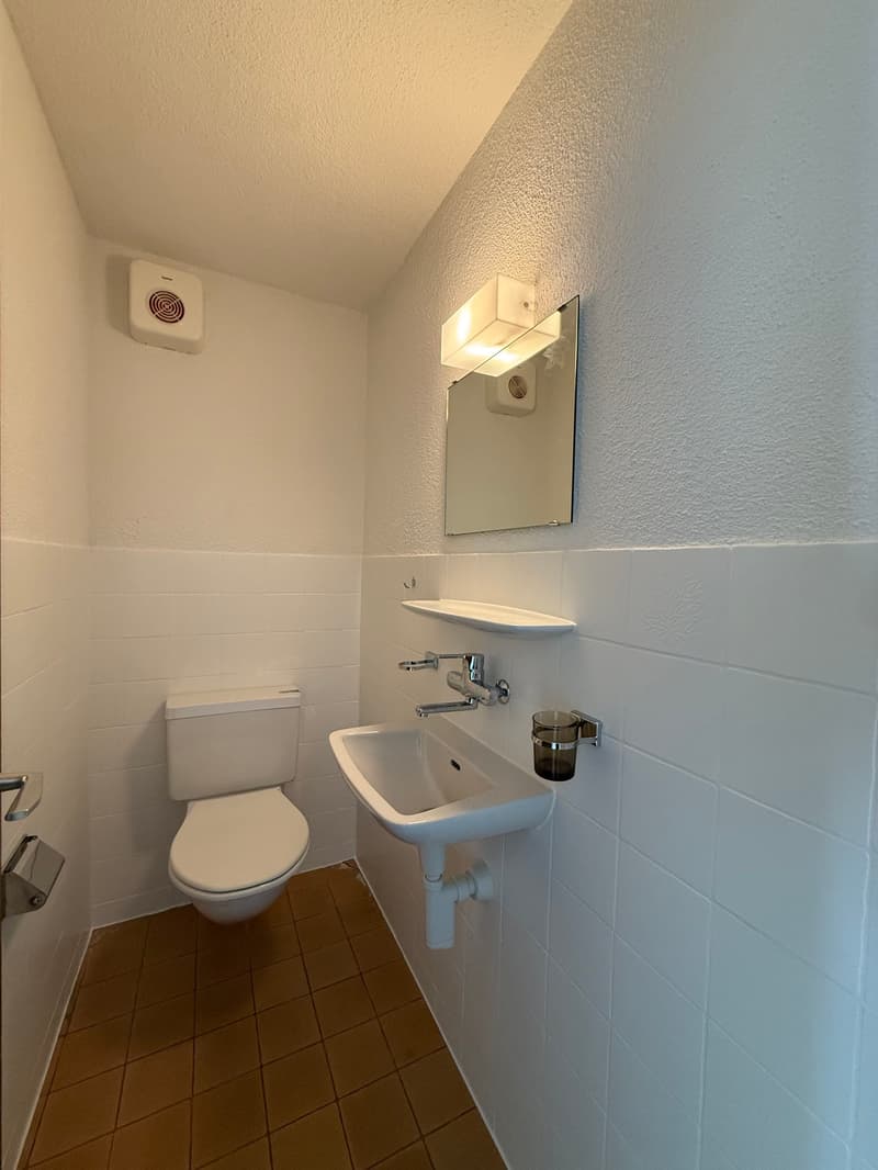 Vivre sur deux niveaux - Appartement de maisonnette attractif de 4,5 pièces avec place assise à l'extérieur à Freienbach (9)