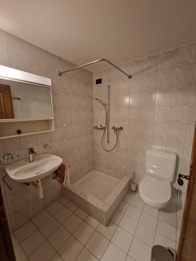 Ihr neues Zuhause in Wollerau SZ - Zentral und doch ruhig gelegen! (9)