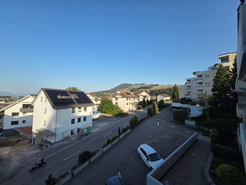 Ihr neues Zuhause in Wollerau SZ - Zentral und doch ruhig gelegen! (14)