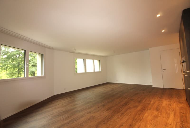 3.5-Zimmerwohnung - Wohnen mit höchstem Komfort im Steuergünstigen Wollerau (2)