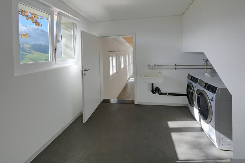 white walls, white ceiling, a washer, a dryer, a sink, a window, a door, a view of a mountain and a forest