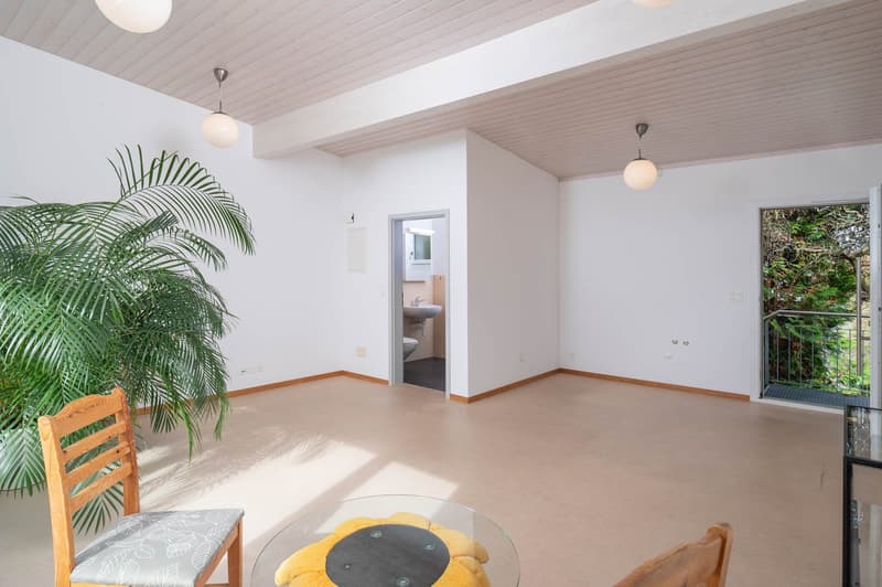 modern apartment with a terrace, modern wooden chair, round glass table, large potted plant, wooden ceiling, white walls, large windows, balcony with views, toilet and sink