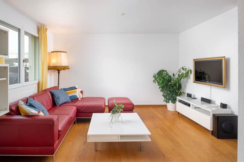 leather sofa, coffee table, lamp, television, potted plant, speaker