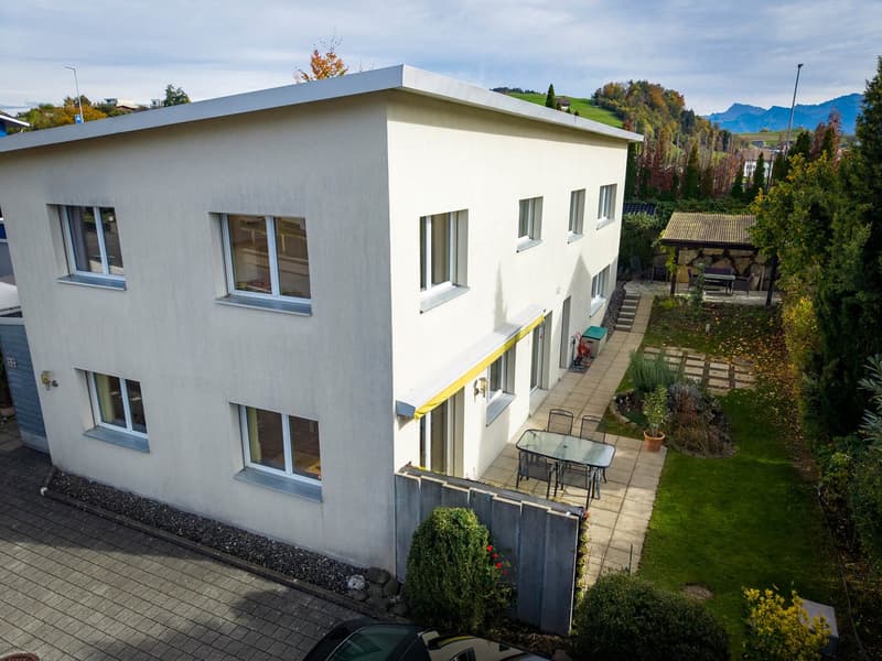 House with many uses (3)