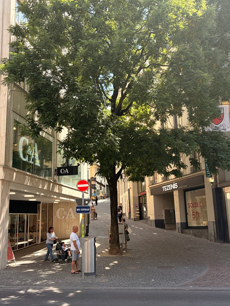 Restaurant/Café Rue Saint-François 2, Lausanne (10)
