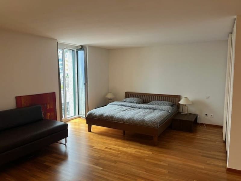 Wohnung am See in Ascona zu vermieten (2)