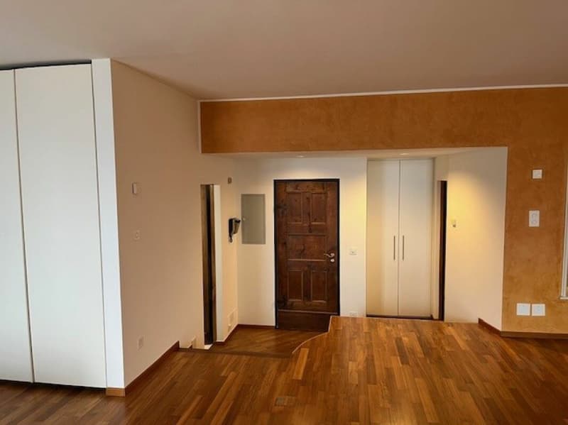 Wohnung am See in Ascona zu vermieten (3)