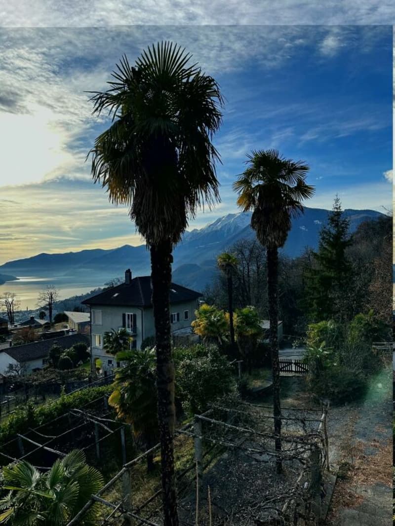 Porta al Paradiso - Locarno Monti - 5.5-Zimmer-Penthouse-Wohnung Attika (W14) (12)