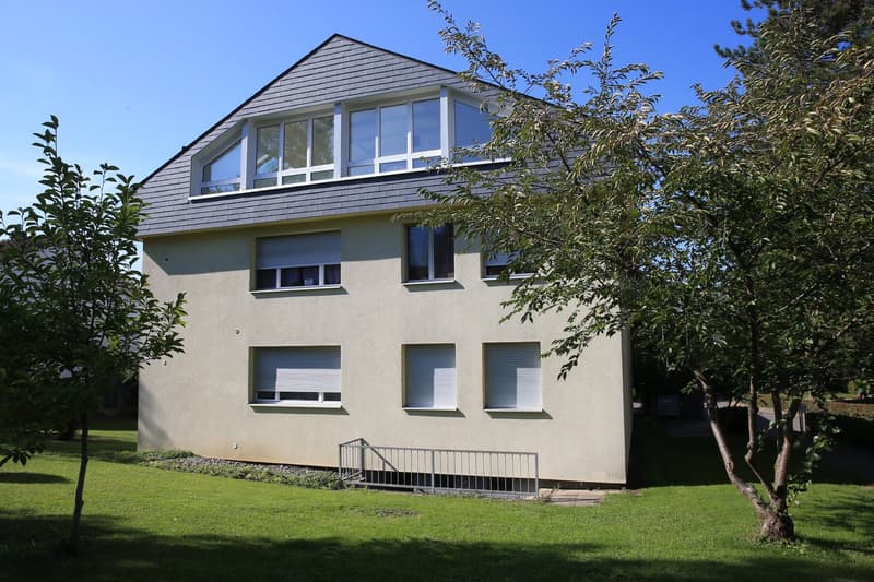 Helle 6.5 Zimmerwohnung in Therwil (1)