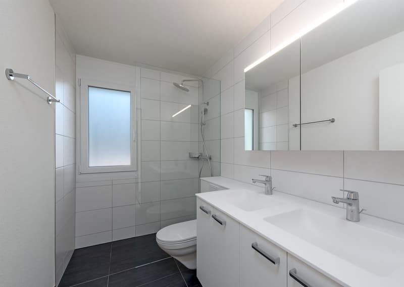 white tiles, white counters, modern shower, white toilet, large mirror