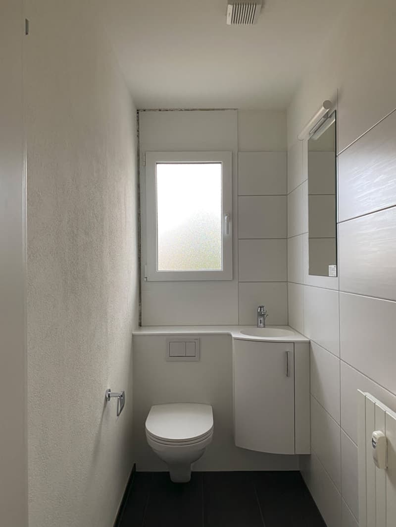 Neu sanierte Wohnung mit Blick ins Grüne zu vermieten (6)