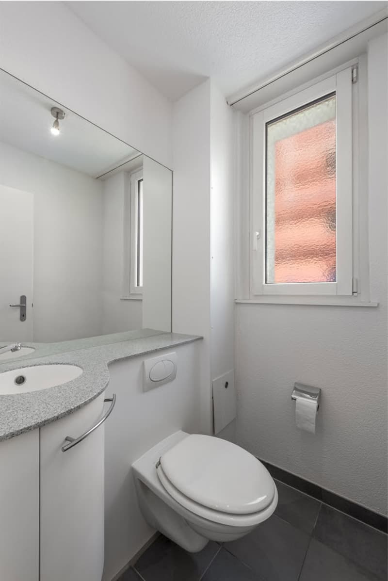 Beautiful and bright 4.5 room apartment in Binningen (6)