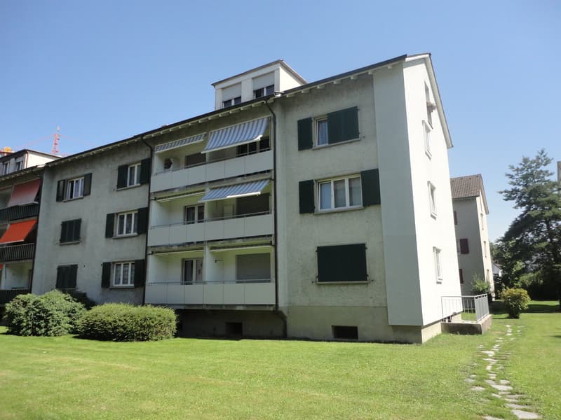 Appartement charmant à louer à Muttenz (1)