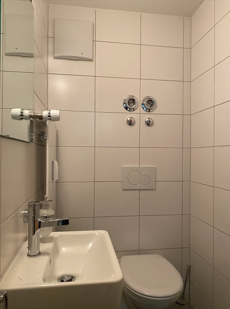 Appartamento 1,5 locali in una casa multifamiliare ben curata in affitto (7)